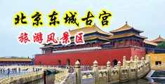 美女裸体操逼黄色网站中国北京-东城古宫旅游风景区